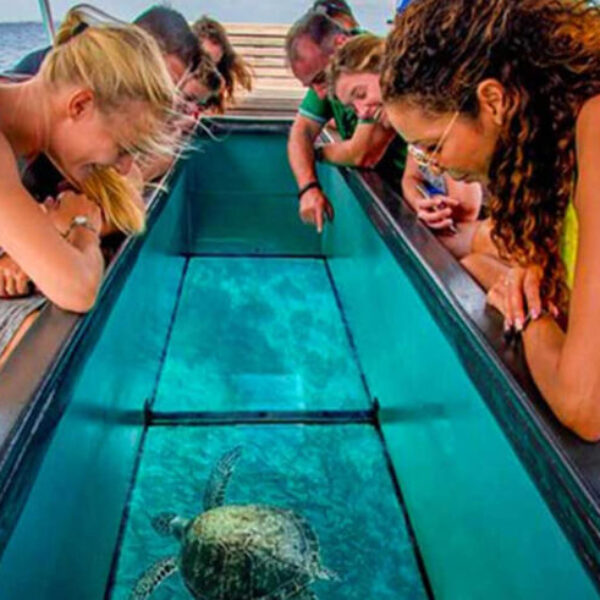 Glass Bottom Boat & Turtle Island