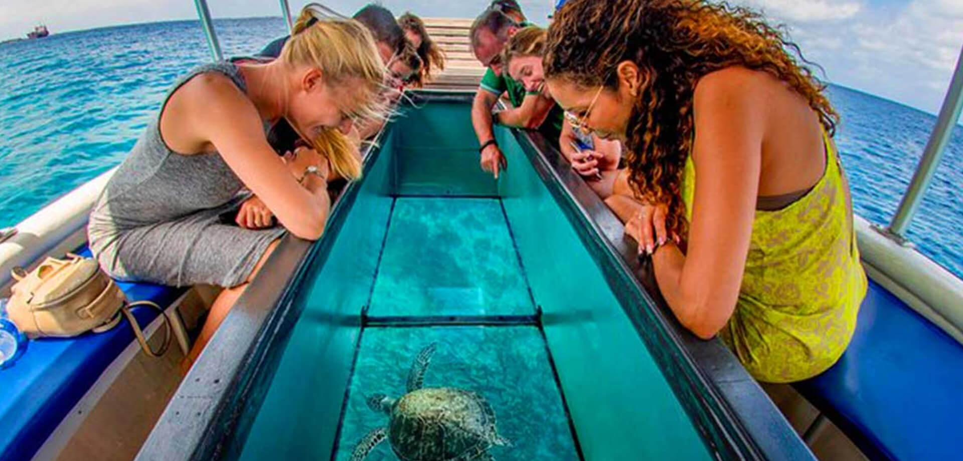 Glass Bottom Boat & Turtle Island