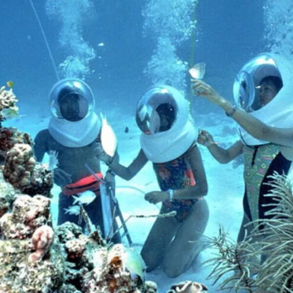 Sea Walker