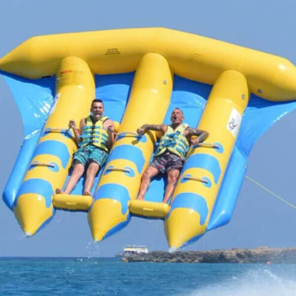Flying Fish