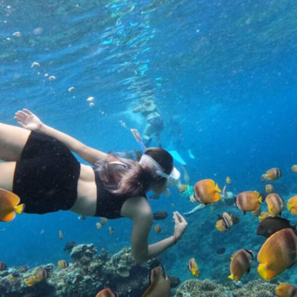 West trip & snorkling