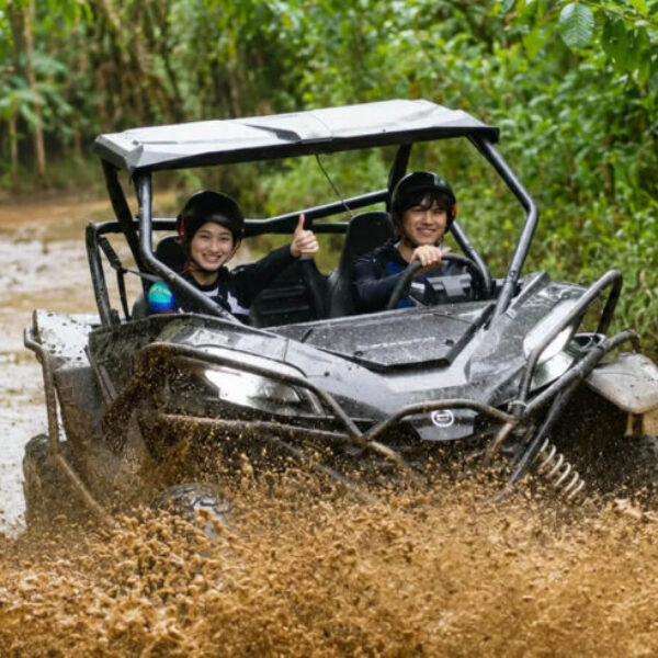 UTV